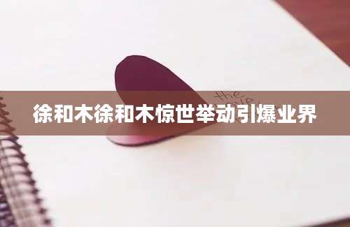 徐和木徐和木惊世举动引爆业界