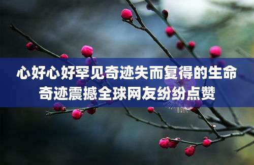 心好心好罕见奇迹失而复得的生命奇迹震撼全球网友纷纷点赞