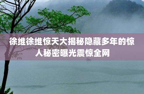 徐维徐维惊天大揭秘隐藏多年的惊人秘密曝光震惊全网