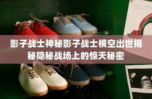 影子战士神秘影子战士横空出世揭秘隐秘战场上的惊天秘密