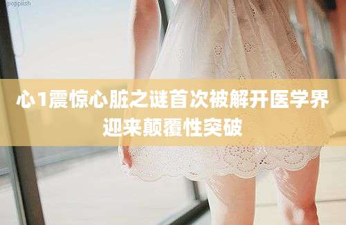 心1震惊心脏之谜首次被解开医学界迎来颠覆性突破