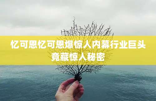 忆可恩忆可恩爆惊人内幕行业巨头竟藏惊人秘密