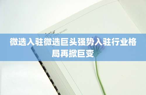 微选入驻微选巨头强势入驻行业格局再掀巨变