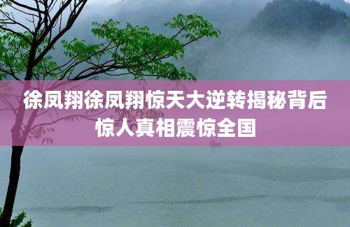 徐凤翔徐凤翔惊天大逆转揭秘背后惊人真相震惊全国