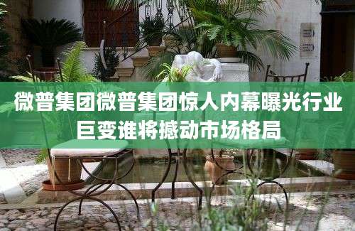 微普集团微普集团惊人内幕曝光行业巨变谁将撼动市场格局