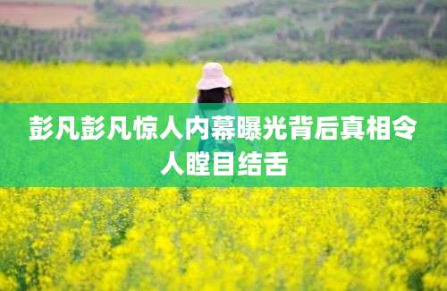 彭凡彭凡惊人内幕曝光背后真相令人瞠目结舌