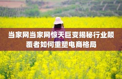 当家网当家网惊天巨变揭秘行业颠覆者如何重塑电商格局