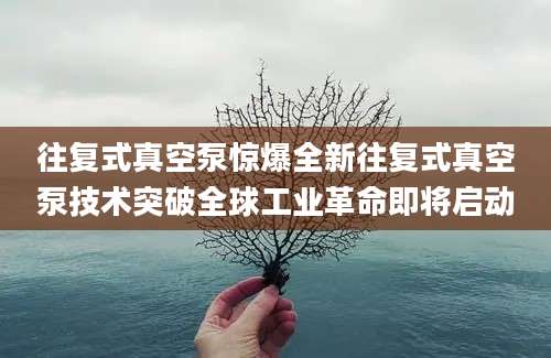 往复式真空泵惊爆全新往复式真空泵技术突破全球工业革命即将启动