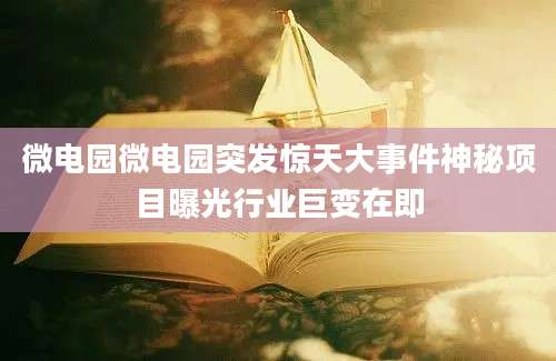 微电园微电园突发惊天大事件神秘项目曝光行业巨变在即