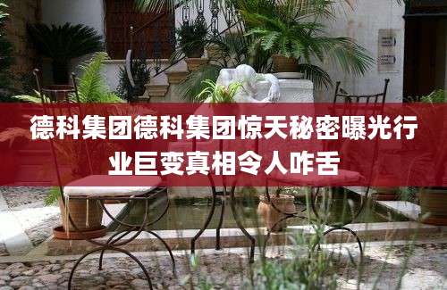 德科集团德科集团惊天秘密曝光行业巨变真相令人咋舌