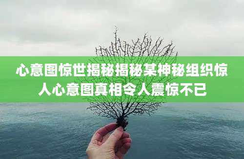 心意图惊世揭秘揭秘某神秘组织惊人心意图真相令人震惊不已