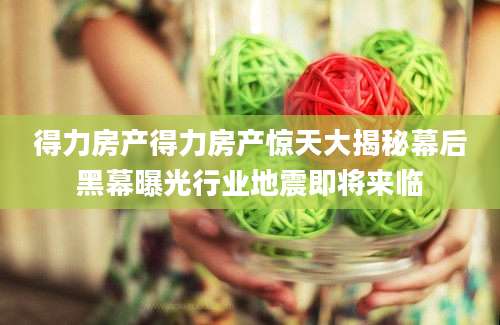 得力房产得力房产惊天大揭秘幕后黑幕曝光行业地震即将来临