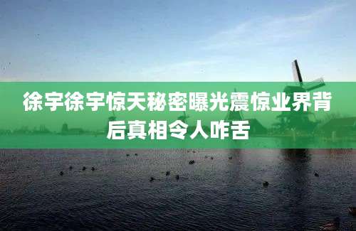 徐宇徐宇惊天秘密曝光震惊业界背后真相令人咋舌