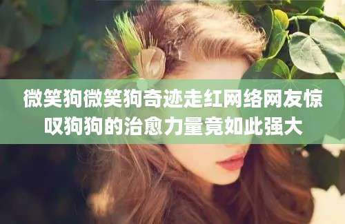微笑狗微笑狗奇迹走红网络网友惊叹狗狗的治愈力量竟如此强大
