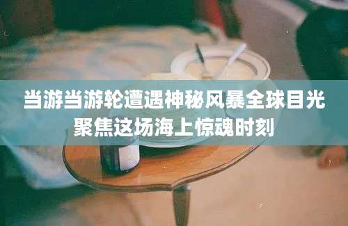 当游当游轮遭遇神秘风暴全球目光聚焦这场海上惊魂时刻