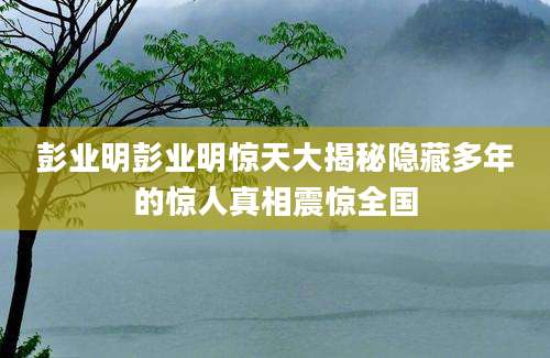 彭业明彭业明惊天大揭秘隐藏多年的惊人真相震惊全国