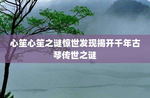 心笙心笙之谜惊世发现揭开千年古琴传世之谜