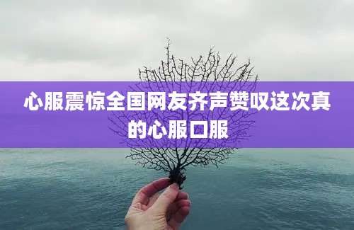 心服震惊全国网友齐声赞叹这次真的心服口服
