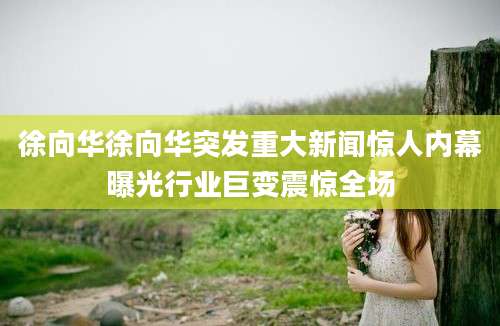 徐向华徐向华突发重大新闻惊人内幕曝光行业巨变震惊全场