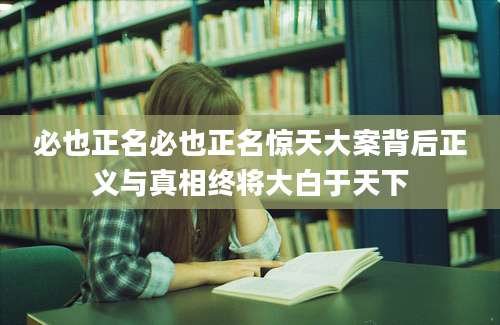 必也正名必也正名惊天大案背后正义与真相终将大白于天下