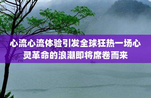 心流心流体验引发全球狂热一场心灵革命的浪潮即将席卷而来