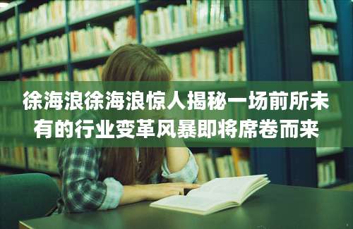 徐海浪徐海浪惊人揭秘一场前所未有的行业变革风暴即将席卷而来