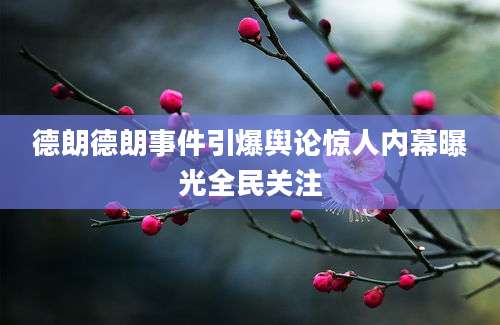 德朗德朗事件引爆舆论惊人内幕曝光全民关注
