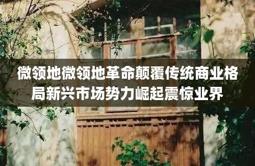 微领地微领地革命颠覆传统商业格局新兴市场势力崛起震惊业界