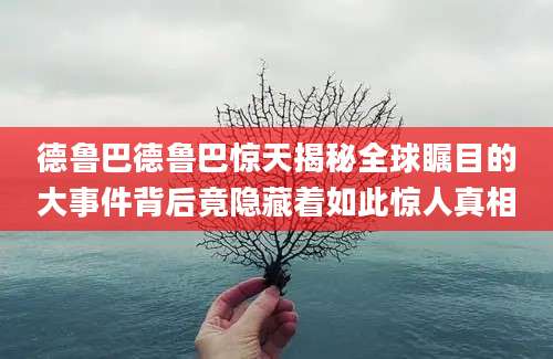 德鲁巴德鲁巴惊天揭秘全球瞩目的大事件背后竟隐藏着如此惊人真相