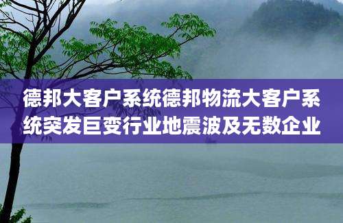德邦大客户系统德邦物流大客户系统突发巨变行业地震波及无数企业