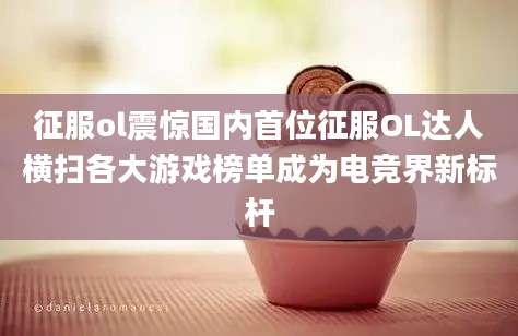 征服ol震惊国内首位征服OL达人横扫各大游戏榜单成为电竞界新标杆