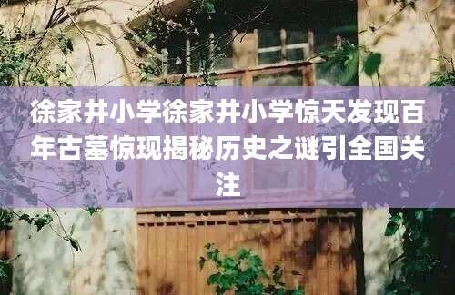 徐家井小学徐家井小学惊天发现百年古墓惊现揭秘历史之谜引全国关注