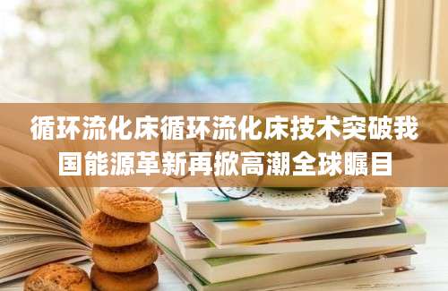 循环流化床循环流化床技术突破我国能源革新再掀高潮全球瞩目
