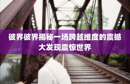 彼界彼界揭秘一场跨越维度的震撼大发现震惊世界
