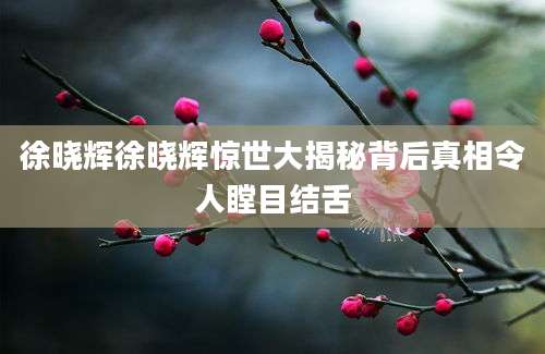 徐晓辉徐晓辉惊世大揭秘背后真相令人瞠目结舌