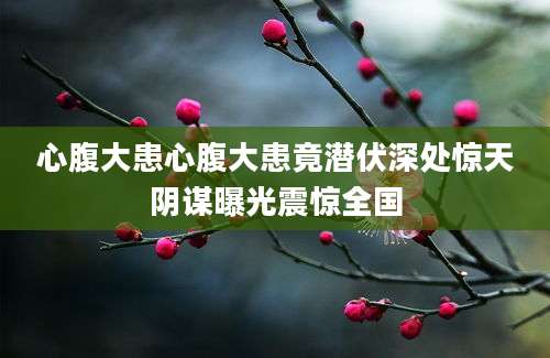 心腹大患心腹大患竟潜伏深处惊天阴谋曝光震惊全国