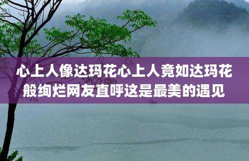 心上人像达玛花心上人竟如达玛花般绚烂网友直呼这是最美的遇见