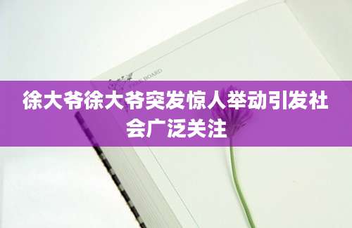 徐大爷徐大爷突发惊人举动引发社会广泛关注