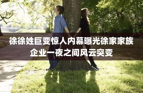 徐徐姓巨变惊人内幕曝光徐家家族企业一夜之间风云突变