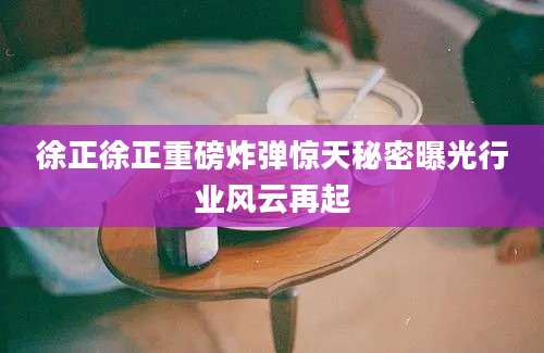 徐正徐正重磅炸弹惊天秘密曝光行业风云再起