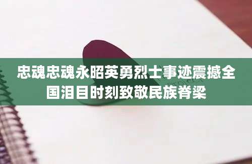 忠魂忠魂永昭英勇烈士事迹震撼全国泪目时刻致敬民族脊梁