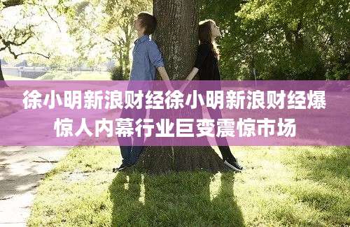 徐小明新浪财经徐小明新浪财经爆惊人内幕行业巨变震惊市场