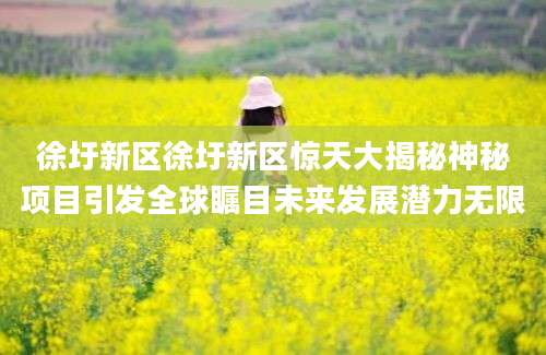 徐圩新区徐圩新区惊天大揭秘神秘项目引发全球瞩目未来发展潜力无限