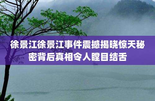 徐景江徐景江事件震撼揭晓惊天秘密背后真相令人瞠目结舌