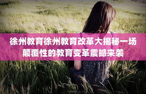 徐州教育徐州教育改革大揭秘一场颠覆性的教育变革震撼来袭