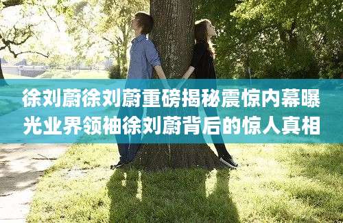徐刘蔚徐刘蔚重磅揭秘震惊内幕曝光业界领袖徐刘蔚背后的惊人真相