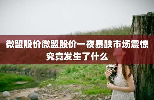 微盟股价微盟股价一夜暴跌市场震惊究竟发生了什么