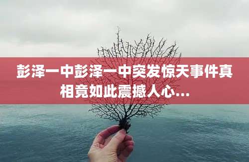 彭泽一中彭泽一中突发惊天事件真相竟如此震撼人心...