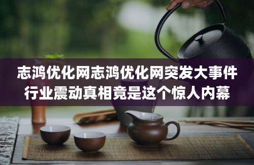 志鸿优化网志鸿优化网突发大事件行业震动真相竟是这个惊人内幕