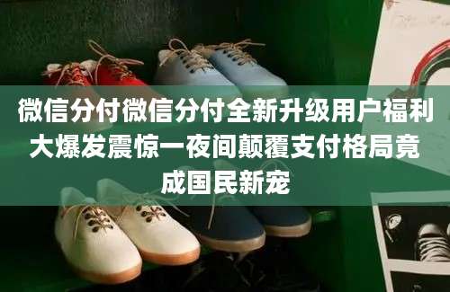 微信分付微信分付全新升级用户福利大爆发震惊一夜间颠覆支付格局竟成国民新宠